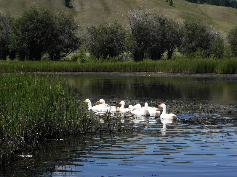 Озеро на территории кемпинга