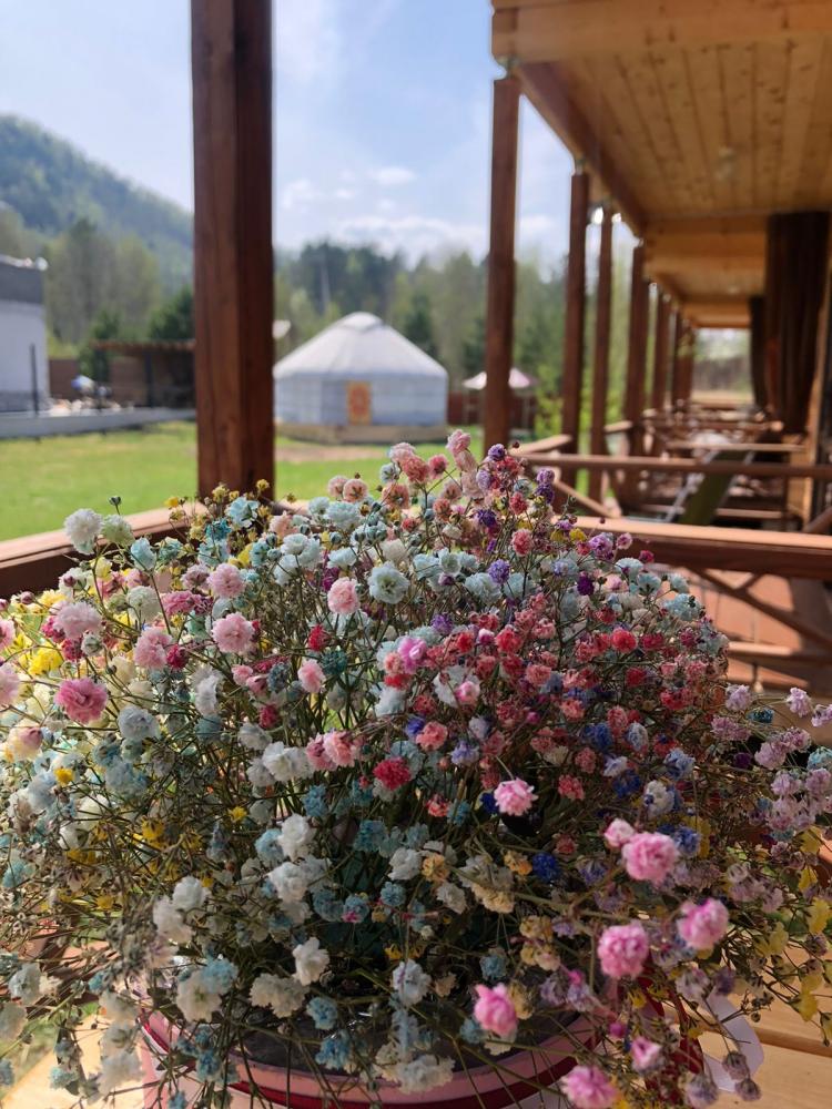 Домик с панорамными окнами Алтай