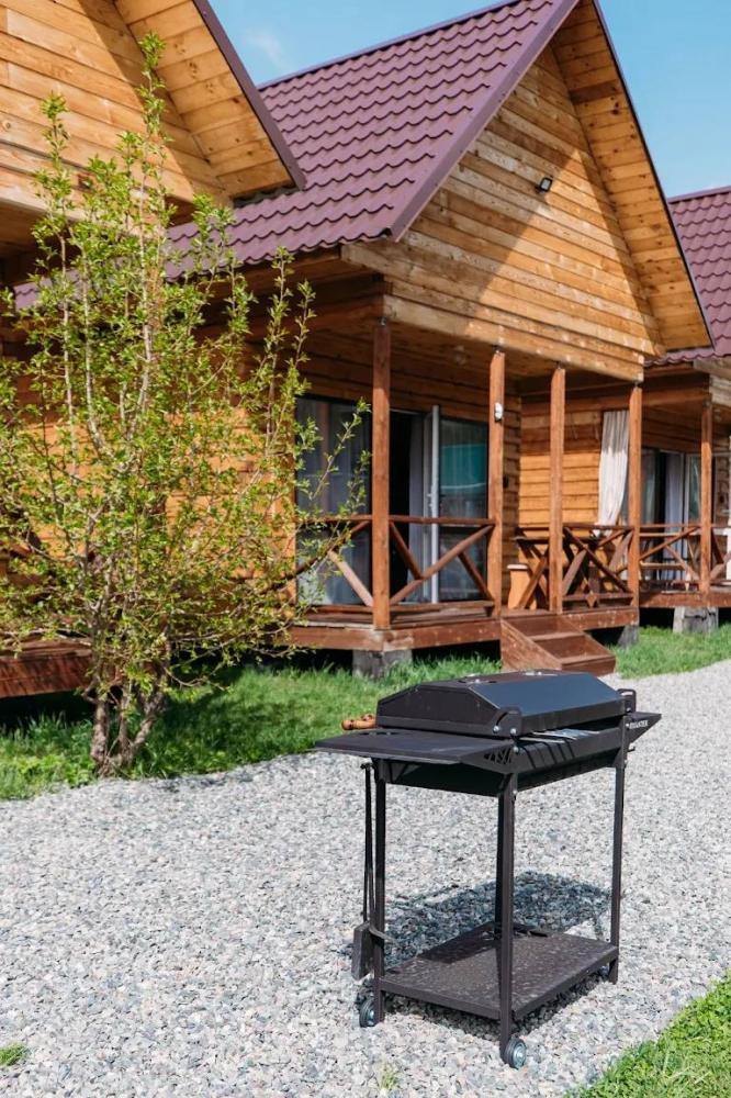 База отдыха в Соузге "Алтай Дрим" 