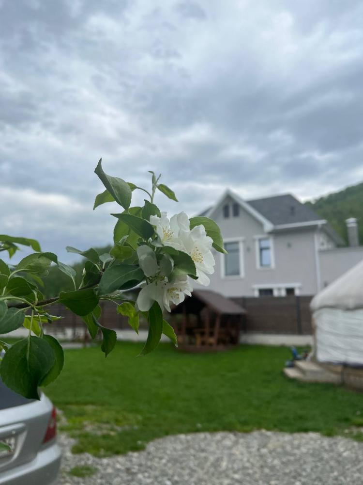 Турбаза "Алтай Дрим" Соузга весной