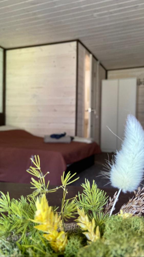 3-х местный номер