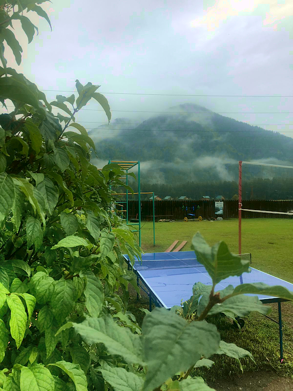 Территория