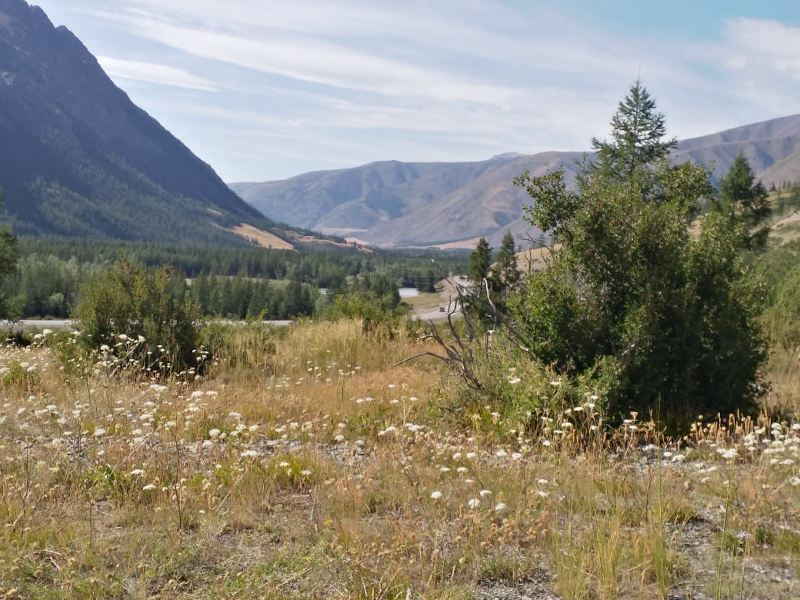 Турбаза "Мади" возле Марса на Алтае