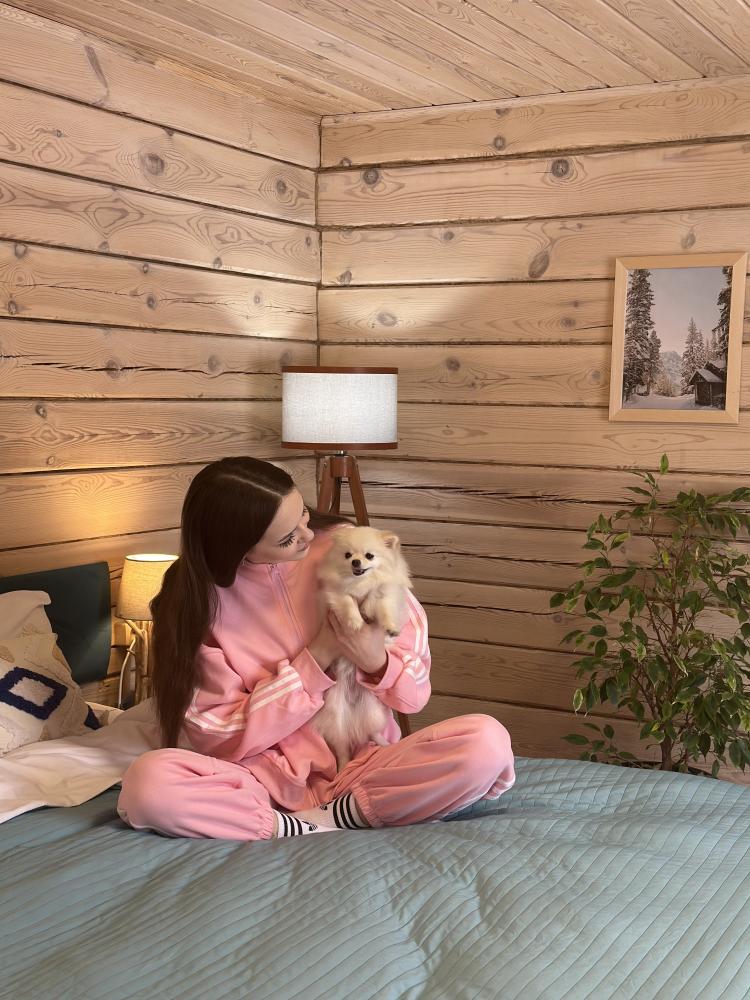 Мы принимаем с собачками 