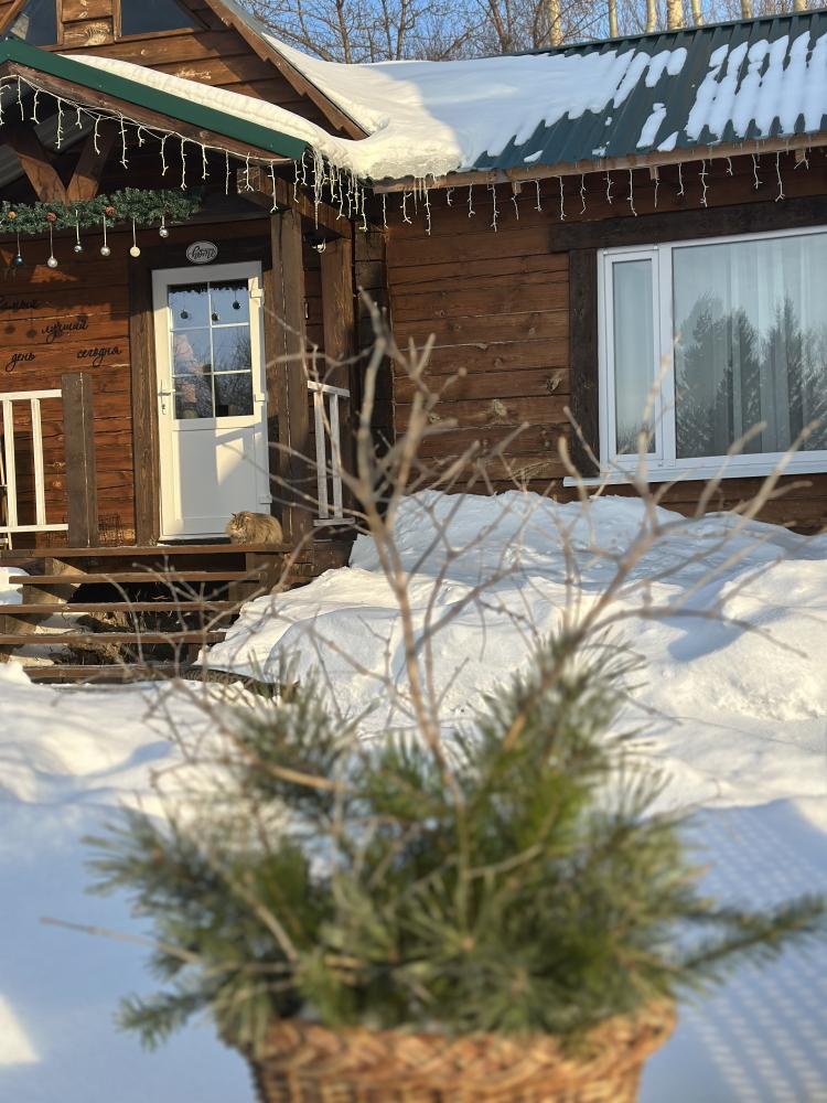 Дом двухкомнатный 