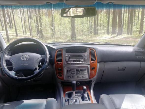 Заброски на Алтай экскурсии и рыбалка 2025