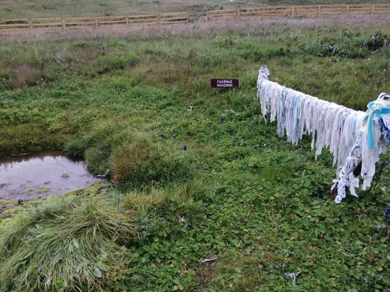 Бугузунский родник