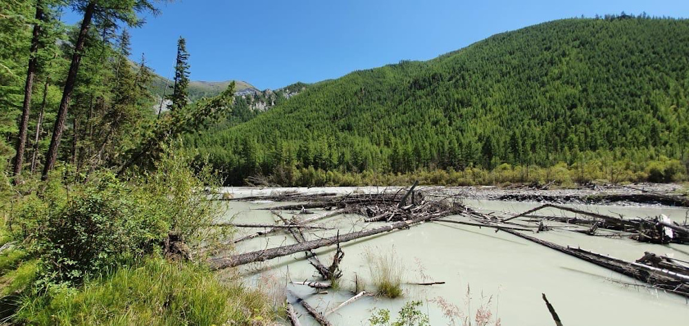 Туры Горный Алтай экскурсии