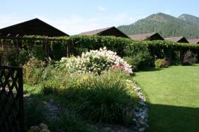 Территория усадьбы. 