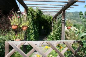 Территория усадьбы. 