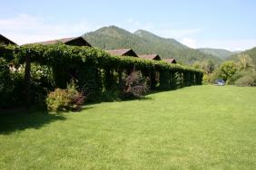 Территория усадьбы. 