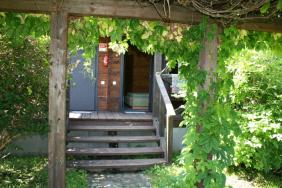 Территория усадьбы. 