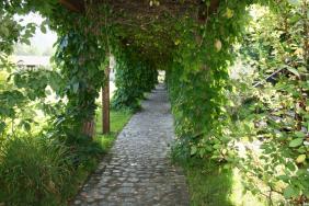 Территория усадьбы. 