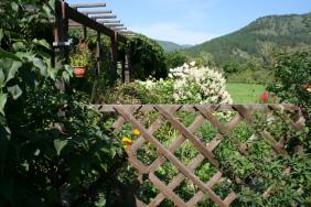 Территория усадьбы.