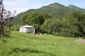 Территория усадьбы. 