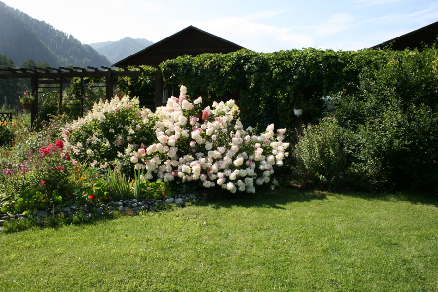 Территория усадьбы. 