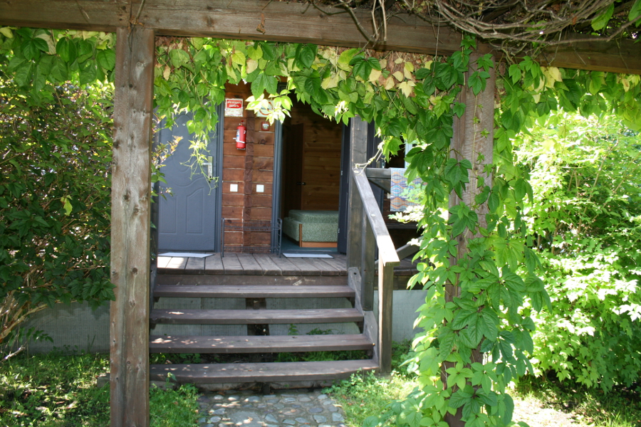 Территория усадьбы. 