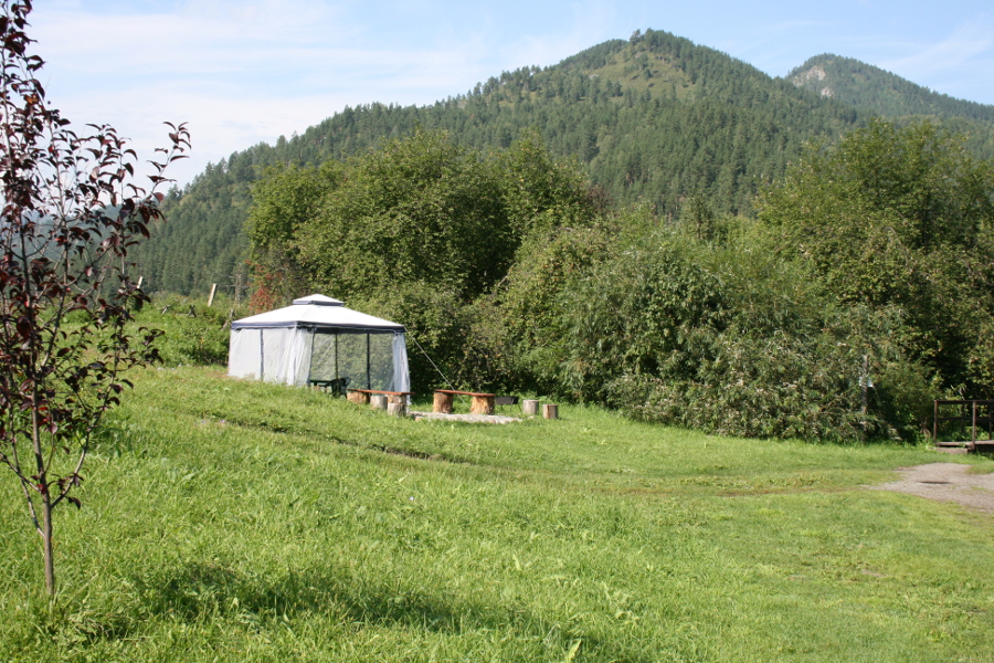 Территория усадьбы. 