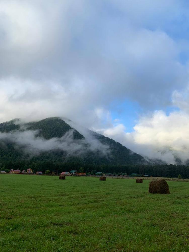 Территория