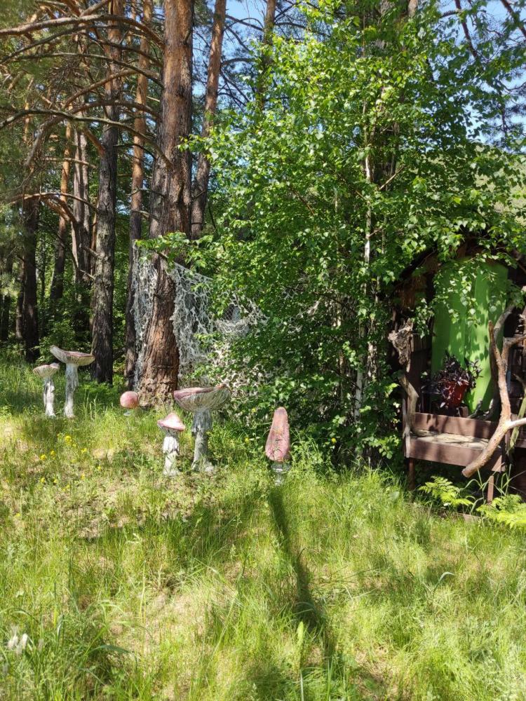 Территория