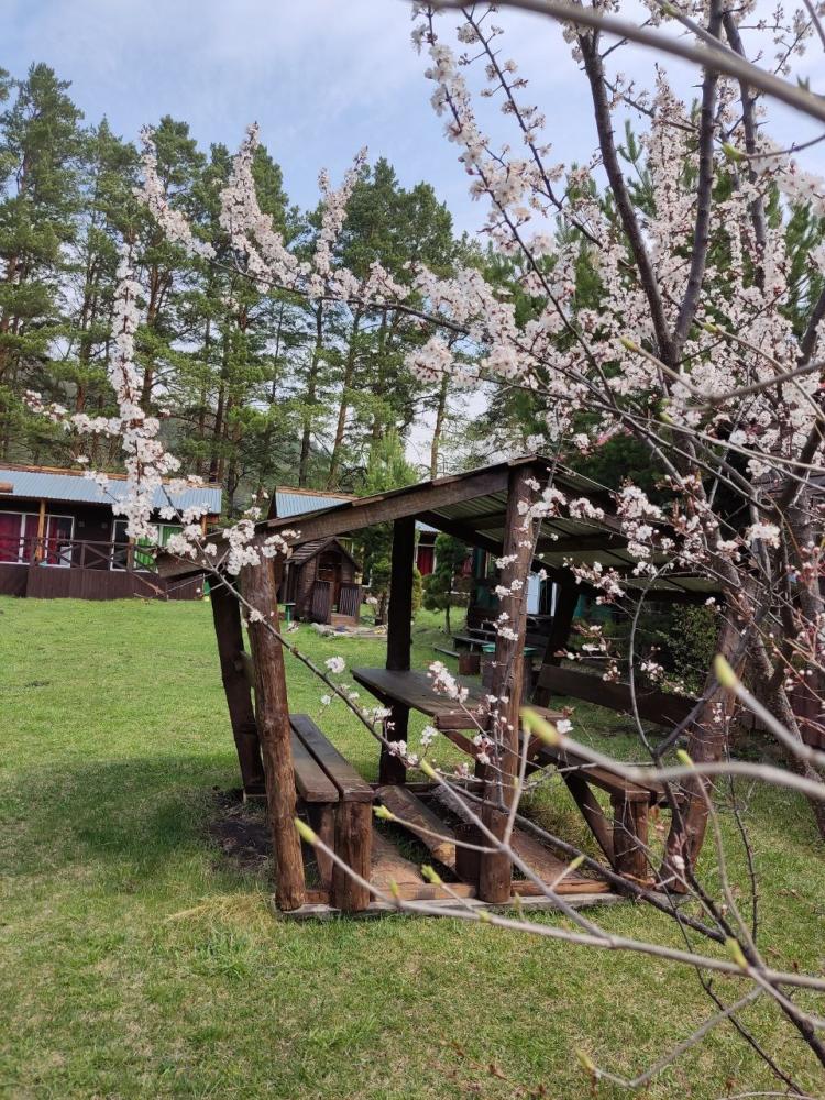 Территория