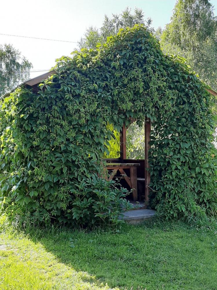 Беседка 5-ти местного Дома