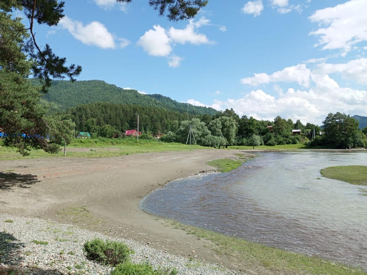 Берег реки Катунь