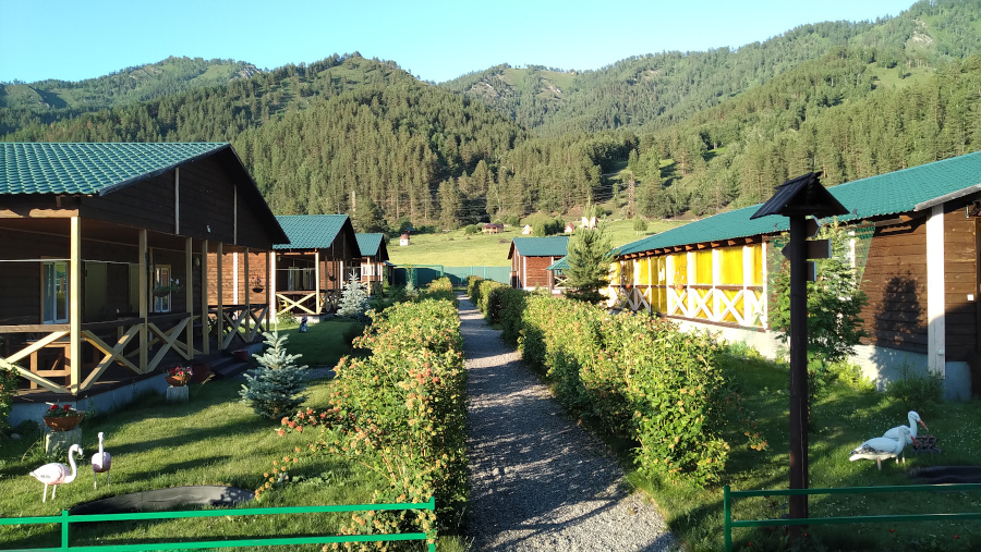 Отдых на Алтае с детьми