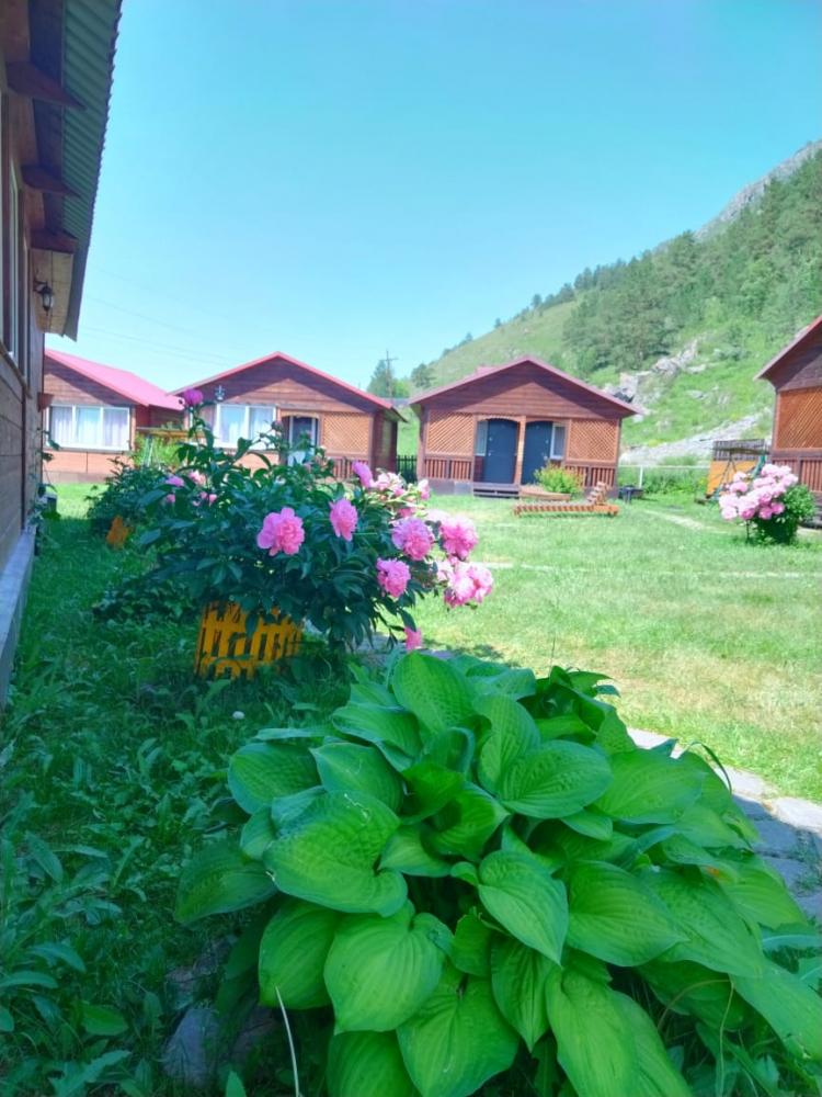 База отдыха "Горный ветер" Чемал Алтай