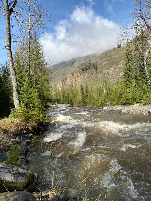 Отдых в Акташе у реки