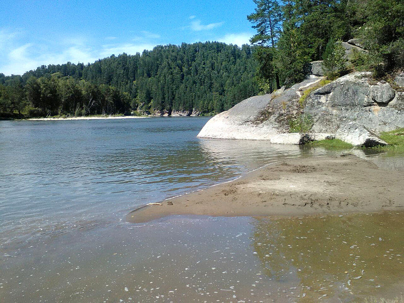 Берег Бии в 100 м от усадьбы