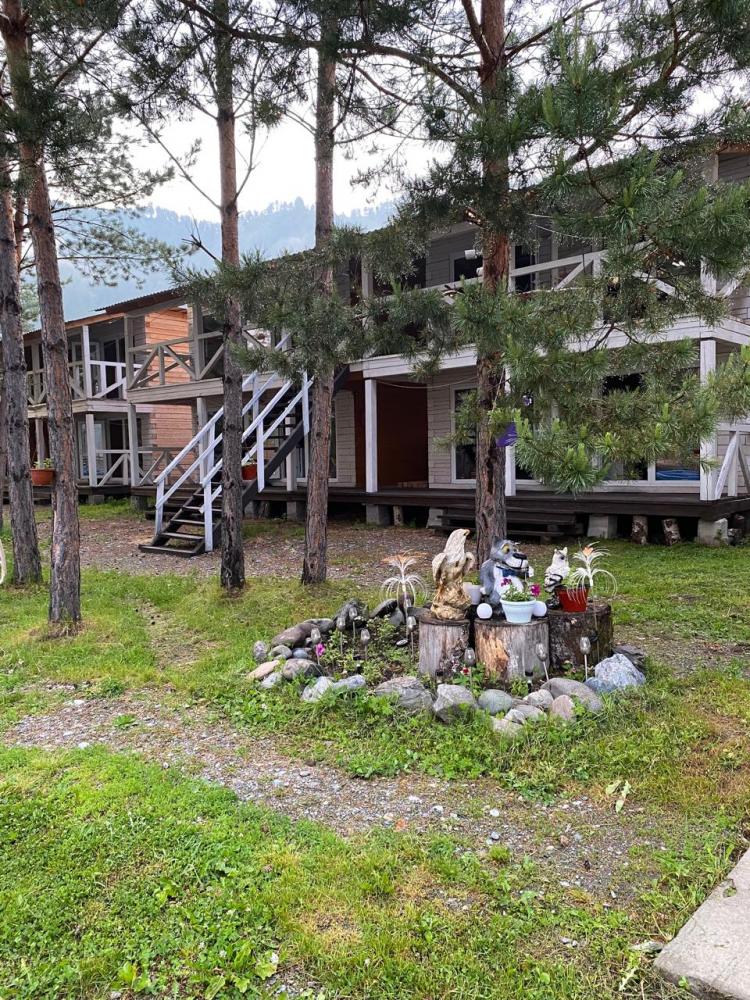 База отдыха "Амалия" в Горном Алтае на берегу реки Катунь