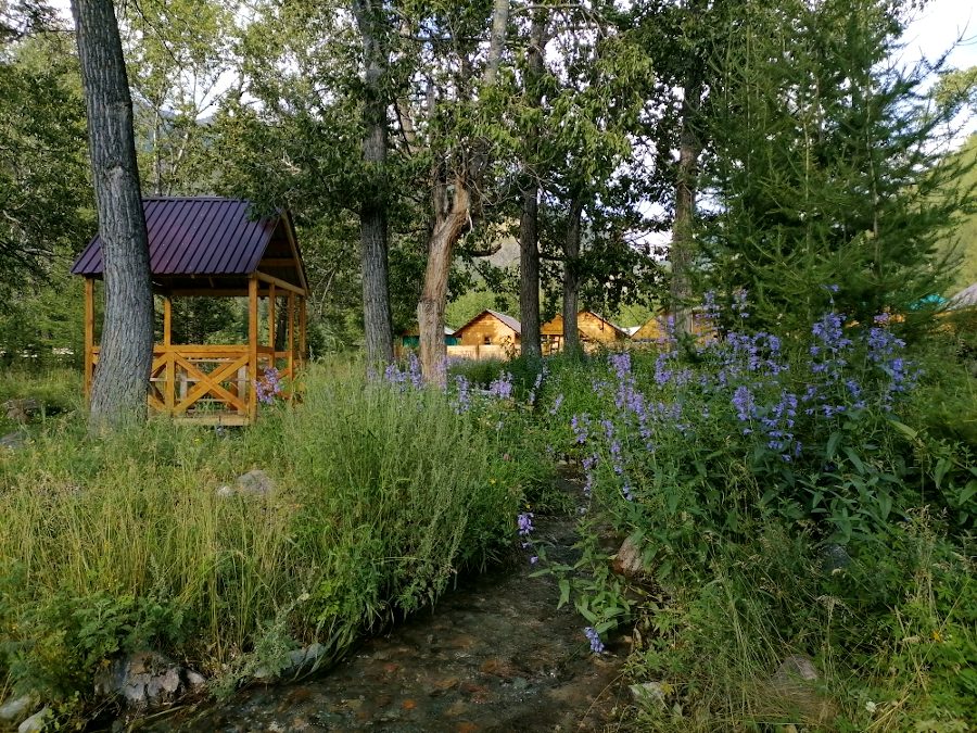 Ручей на базе