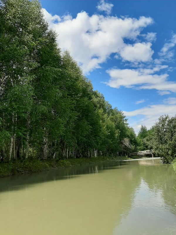 Река Чуя Чибит Алтай