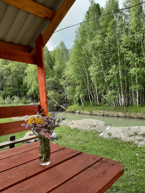 Отдых у реки Чуя Чибит Алтай