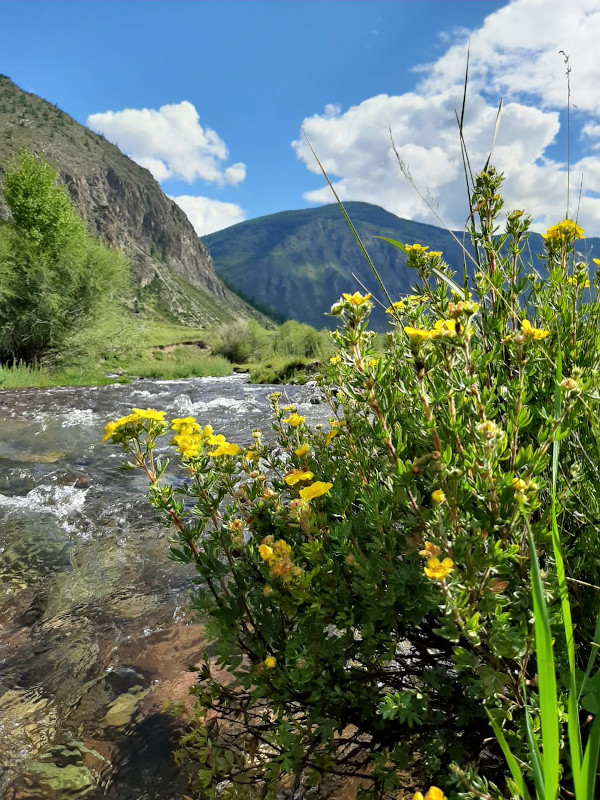 База отдыха Акташа и Чибита