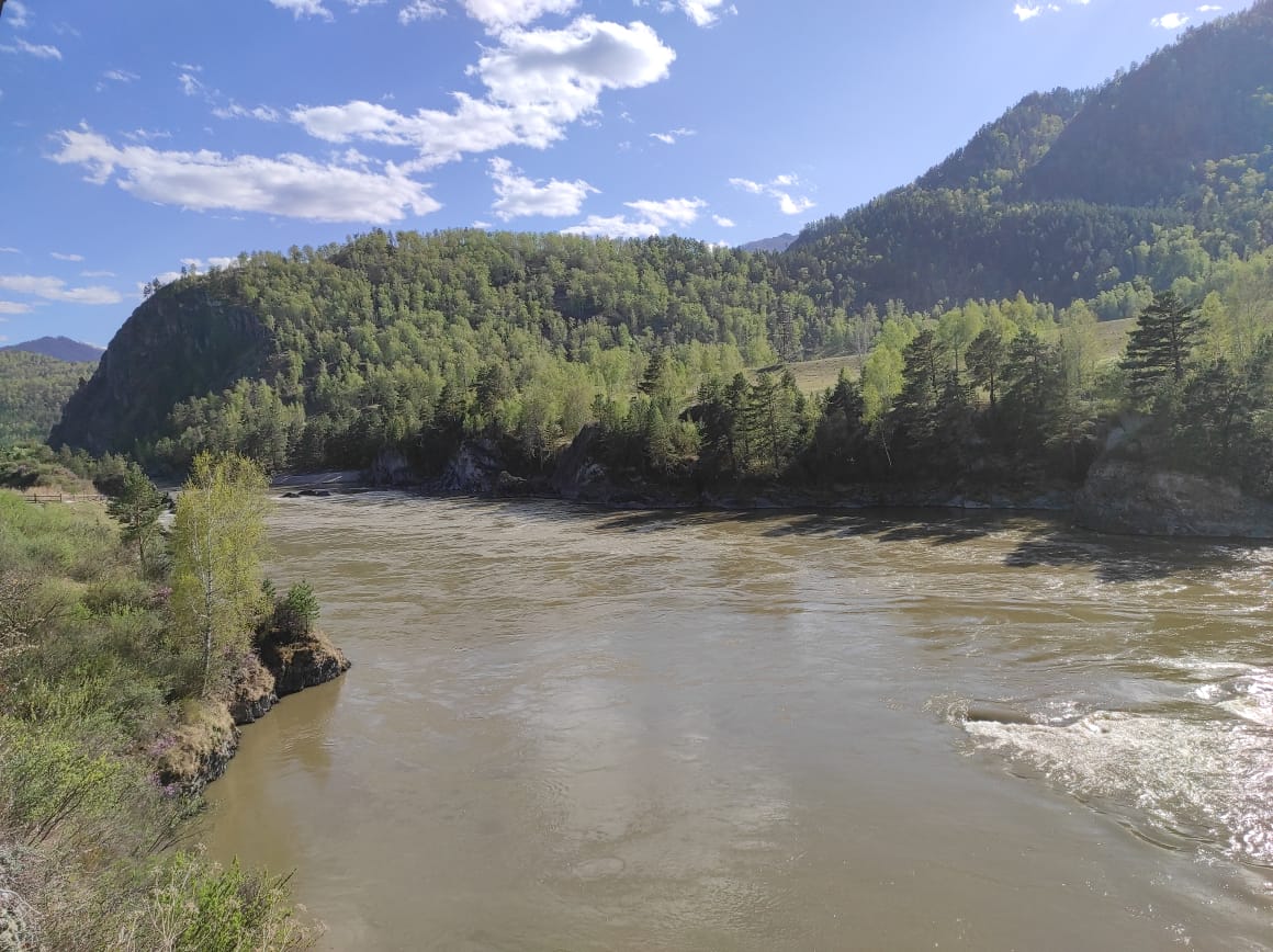 Река Катунь возле гостевого дома в Чемале