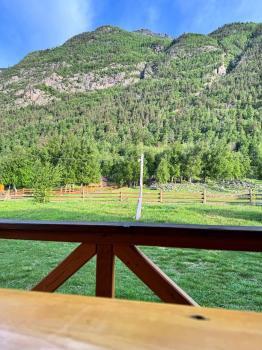 Вид с террасы домика 4-местного