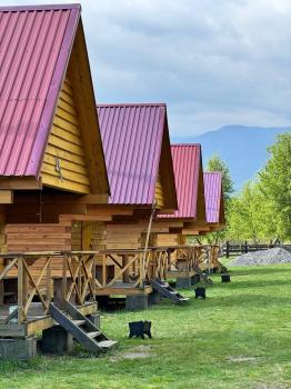 Домики 4-местные на юге Телецкого озера