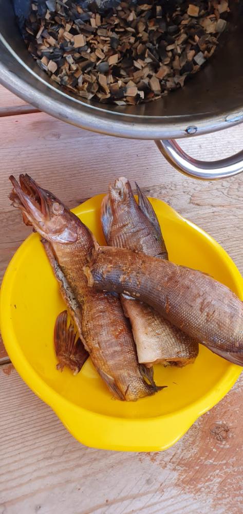 Рыбалка на Чыулышмане хариус