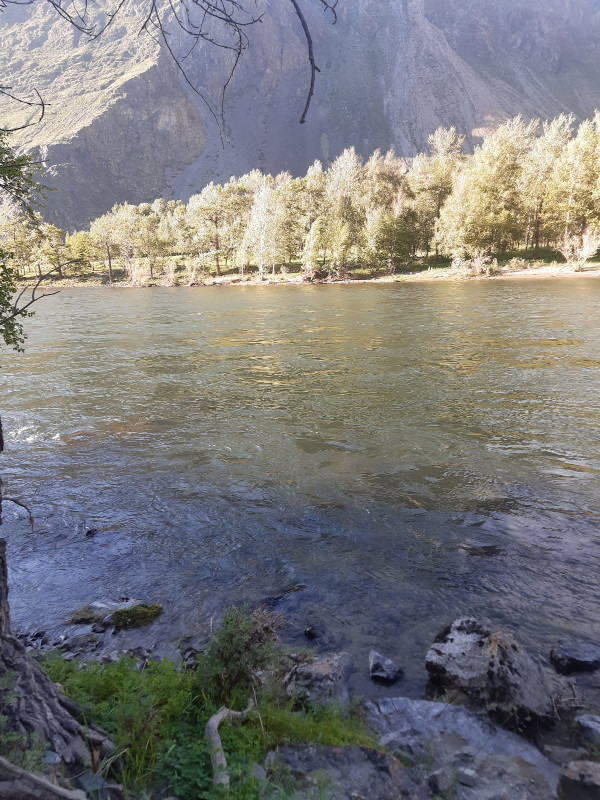 Отдых Чулышман 2021