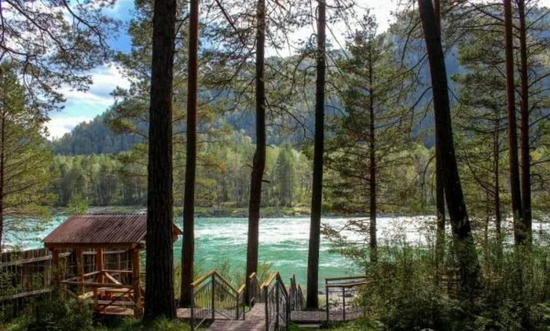 База отдыха "Алтаир" у реки Катунь в Горном Алтае