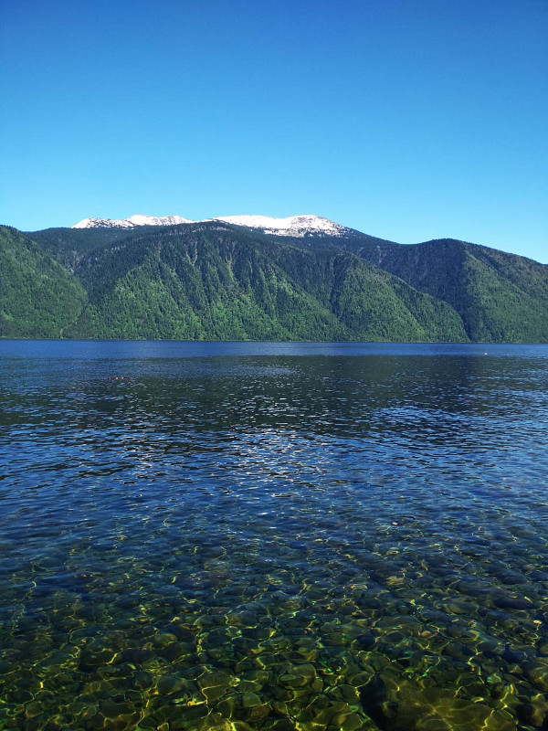 Летний отдых на Телецком озере (июнь)