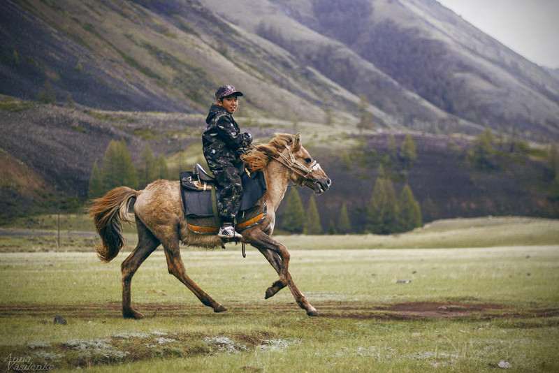Отдых в Республике Алтай