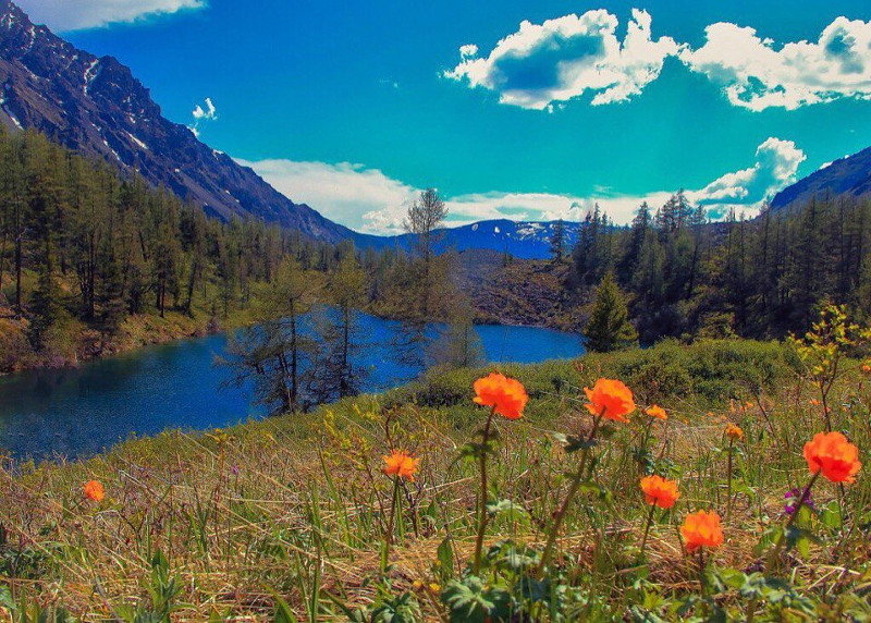 Куехтанарское озеро Республика Алтай