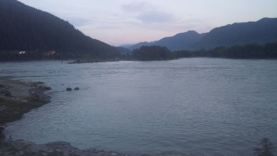 Заводь на реке Катунь