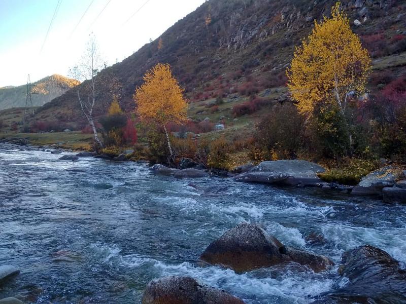 Алтай Курай заброски туры