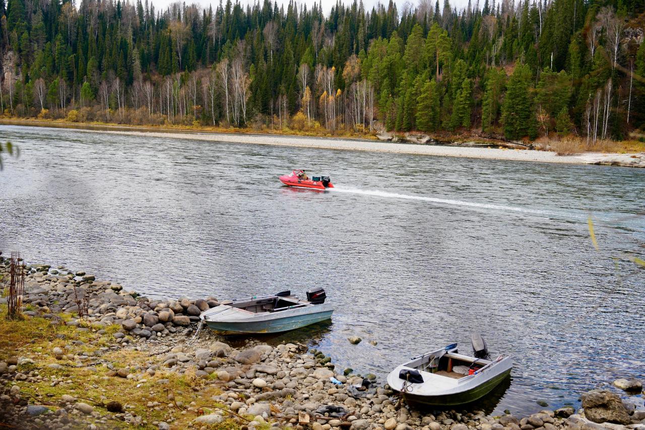 Берег у дома