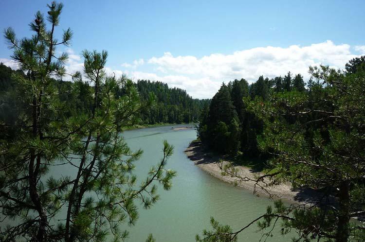 Река Лебедь в районе Турочака