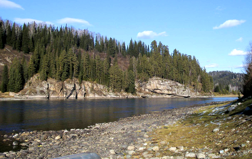 Река Бия около усадьбы